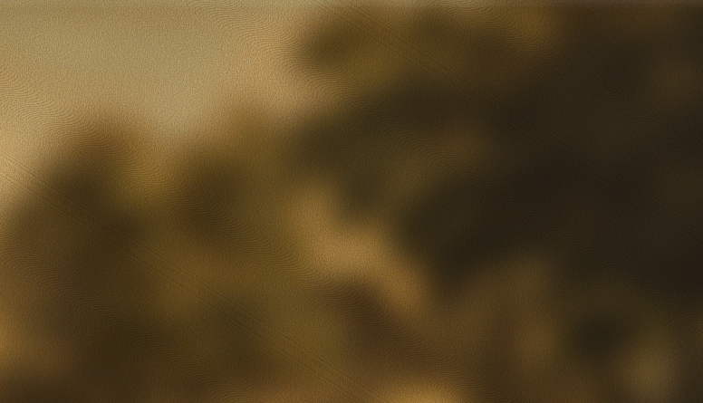 Best consulting business software